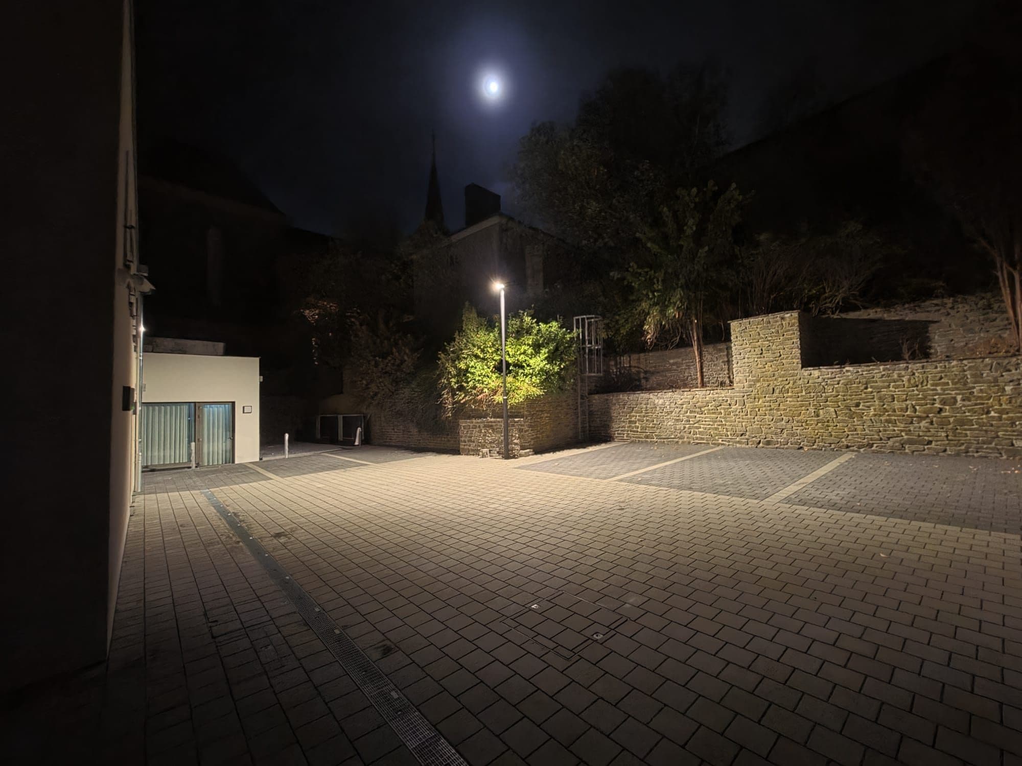 Außenbeleuchtung bei Nacht mit Laterne und beleuchteter Bepflanzung